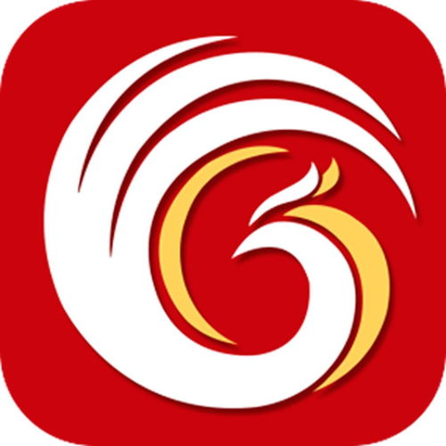 广东凤凰网络科技股份